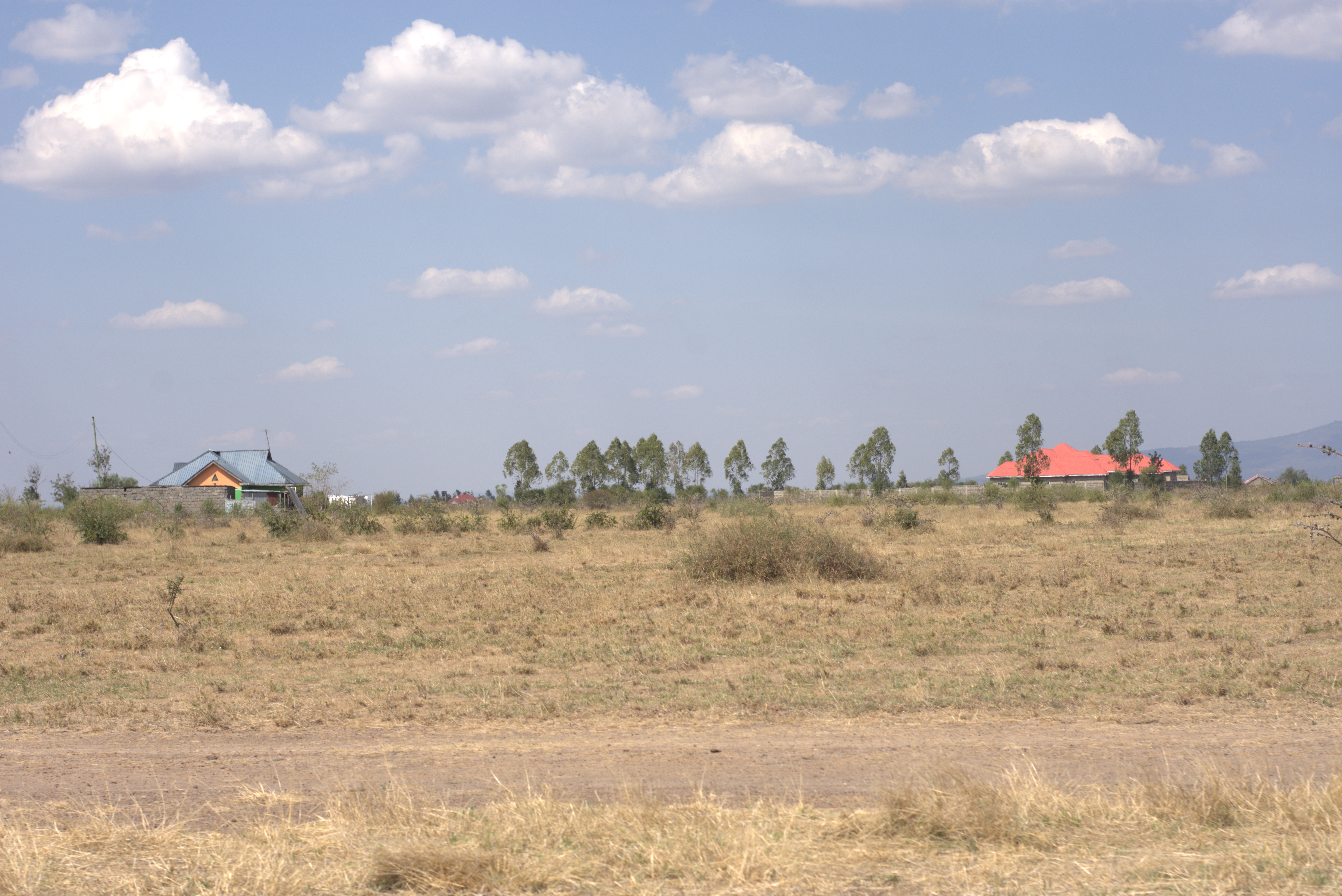 Mwalimu Farm 3